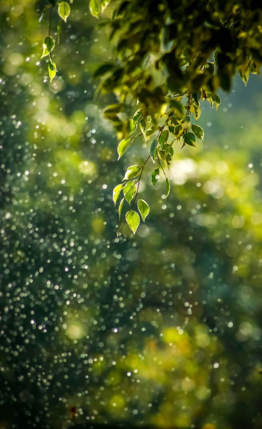 Energetique nature hypnomagnet- goutham-krishna Energetique nature hypnomagnet- goutham-krishna